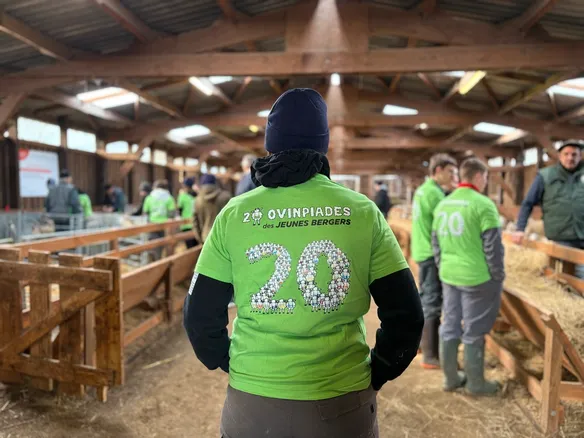 Deux Jeunes Bergers De Creuse Repr Senteront Le Limousin Au Salon De L