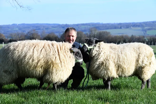 Vaches Moutons Chiens Chevaux Ces Leveurs Repr Senteront Le