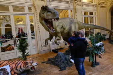 Des dinosaures remontent le temps au Palais des congrès de Vichy, ce week-end