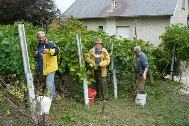 Chamalières - Gardenparty pour les traditionnelles vendanges chez Alain Gironnet