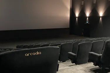 À Riom (Puy-de-Dôme), quels films sont à l’affiche cette semaine au cinéma Arcadia ?