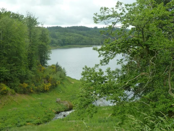 Saint-Léger-la-Montagne, Limoges et Panazol, villes de rêve en Haute-Vienne