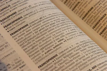 150 nouveaux mots dans Le Petit Robert : saurez-vous trouver leur définition ? [quiz]