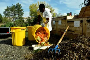 Epluchures, compost et potager : la deuxième vie des biodéchets des restaurants d'Issoire