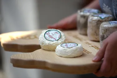 [Série] Les fromages d'Auvergne : le Mandailles, ce petit morceau de Cantal, doux à en devenir chèvre