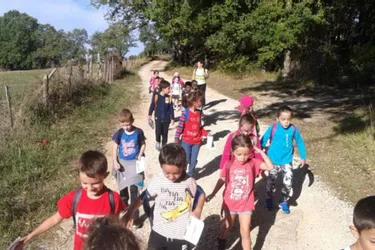 Une randonnée pour les écoliers