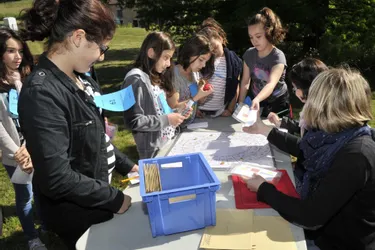 Le Rallye mathématiques a rassemblé 240 élèves