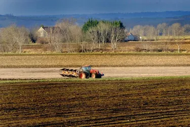 Solidarité paysans Auvergne, qui lutte contre l'isolement des agriculteurs, recherche des bénévoles