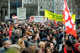 Des milliers d'Auvergnats mobilisés contre la "Loi Travail"
