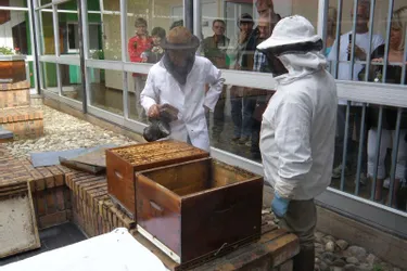 Cinquième Salon du miel et des abeilles