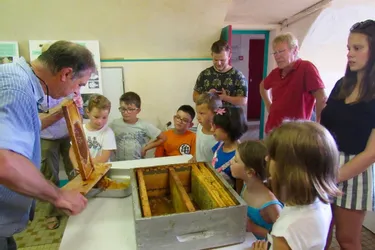 L’atelier d’apiculture de l’Advep a invité les enfants de Montcervier à assister à la récolte