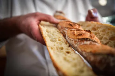 Jour de repos hebdomadaire pour les boulangeries et les terminaux de cuissons du Puy-de-Dôme : le compte n'y est pas pour la CGT