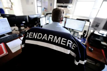 En Corrèze, police et gendarmerie appellent à préférer le numéro vert au "17" pour les questions liées au Covid-19
