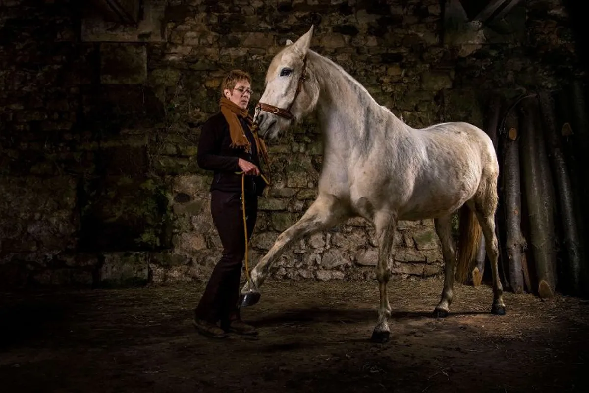 Anne Piola : chevaux et merveilles - L