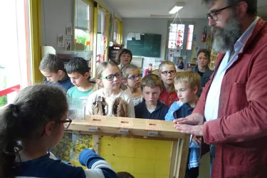 L’école de Granges dotée d’un apiscope conçu par un enseignant