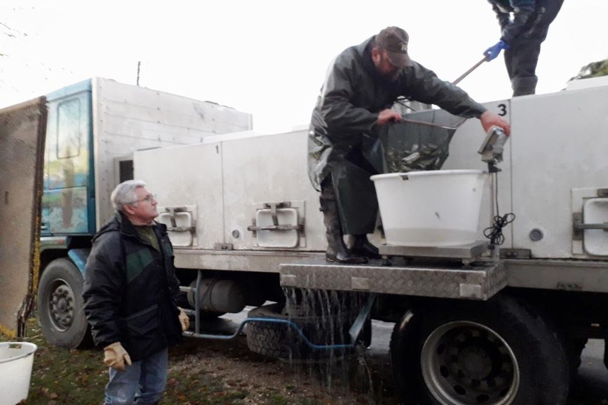 CHARTRES. Rempoissonnement des plans d’eau de l’agglomération - L’Écho