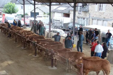 Le palmarès de la 66e foire primée de veaux de lait de Corrèze