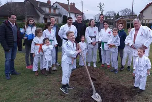 Les petits judokas ont planté deux arbres