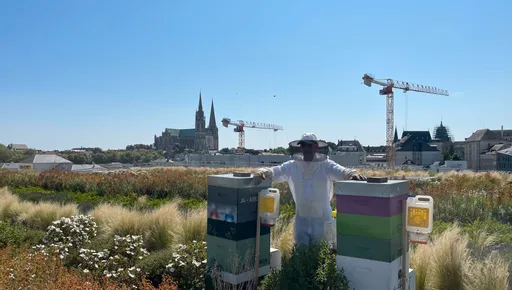 Lot De 3 Récipients De Géocaching En Forme D'abeille – Avec Bûche, Résistants à La Pluie (neufs)