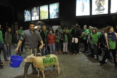Un mouton s'invite à la quatrième épreuve d' #InterCampusMoulins