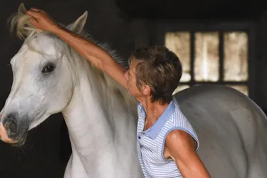 Un élevage de quatorze chevaux pur-sang s’est installé à La Bussière-Aupigny