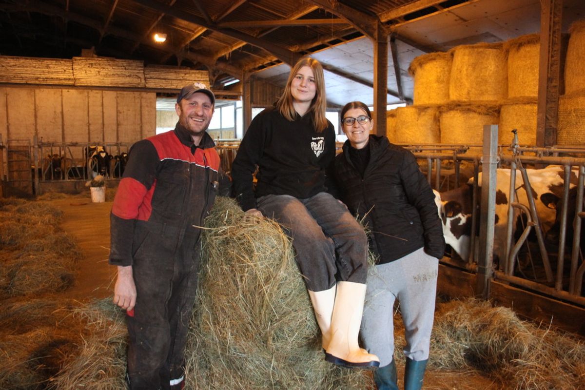 Des vaches « kiwis », du « lait de foin » bio : cette famille propose un cantal fermier AOP pas comme les autres