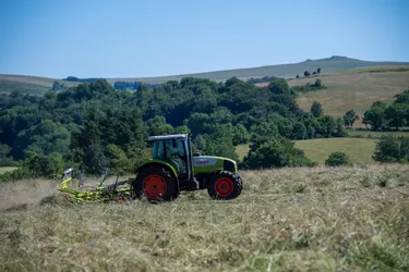 "L’Europe doit donner les moyens à ses agriculteurs de mieux vivre de leur métier tout en réduisant leur empreinte environnementale"