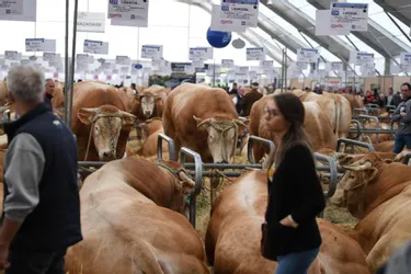 Le Sommet de l'élevage, à Clermont-Ferrand, entre dans une nouvelle ère en 2021 à l'occasion de ses trente ans