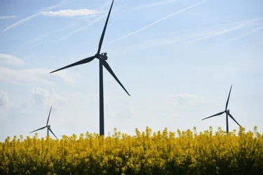 Les conseillers départementaux de l'Allier votent un texte contre la prolifération anarchique des éoliennes