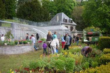 Des centaines de visiteurs au Troc jardin
