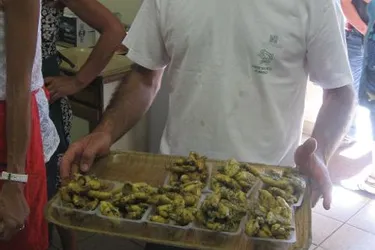 1.700 convives pour déguster 700 kg de cuisses de grenouilles à Demolle