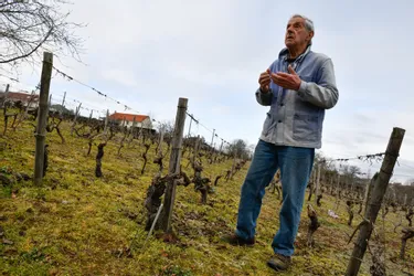 À 84 ans, Claude Ducher est le dernier vigneron de Domérat