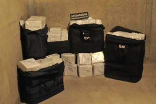 76,4 kg de drogue saisis au Donjon, neuf prévenus placés en détention