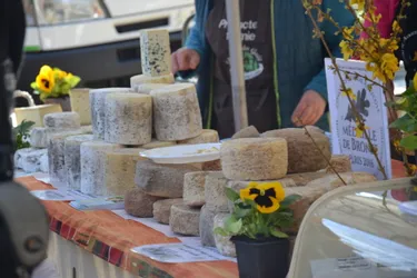 Diaporama : la 26e foire aux fromages fermiers