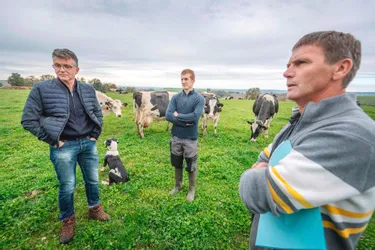 À prix bradé : dans le Cantal, du lait bio écoulé au tarif du conventionnel