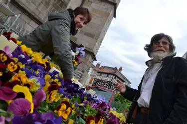 Plantes et fleurs colorent à nouveau le marché de la ville