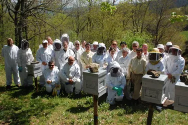 Trois prix ont été attribués aux apiculteurs amateurs du Hait-Allier, le week-end dernier