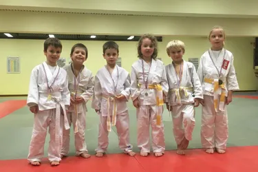 Les jeunes du judo club se distinguent