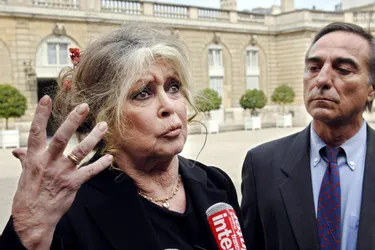 Ferme des 1.000 veaux dans la Creuse : Brigitte Bardot écrit à Intermarché