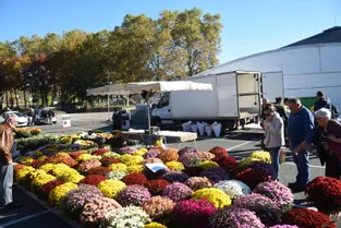 Le marché aux fleurs s'épanouit Place de la Guierle