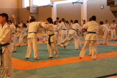 Les jeunes judokas en stage à Bugeat
