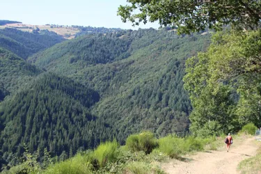 Le camping naturiste de La Taillade à 900 mètres d’altitude est le plus ancien d’Auvergne