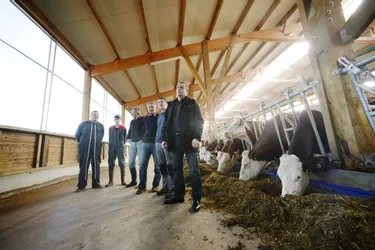 Des laitiers sans filet après la disparition des quotas