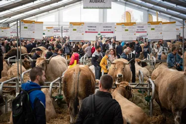 42.000 visiteurs accueillis en deux jours au Sommet de l'élevage à Cournon (Puy-de-Dôme)