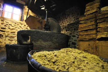 Les étapes de fabrication de l'huile de noix au Moulin de Gribory [photos]