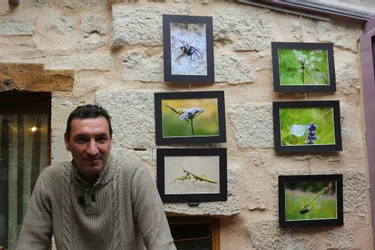Exposition de photographies « Regards sur la nature » à La Boissière