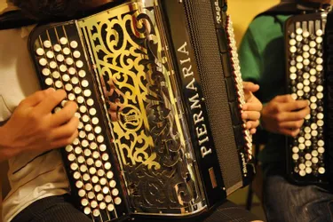 Limoges : un as de l'accordéon condamné pour de fausses déclarations