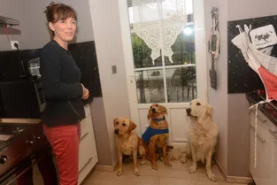 Depuis 2011, Séverine Celoux accueille, socialise et pré-éduque les chiots pour Handi’chien
