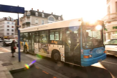 Bus du réseau Maelis : des perturbations annoncées sur deux lignes lundi 20 janvier à Montluçon