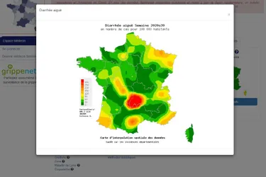 Non, le Cantal n'est pas l'épicentre d'une épidémie de gastro-entérite aiguë en Auvergne
